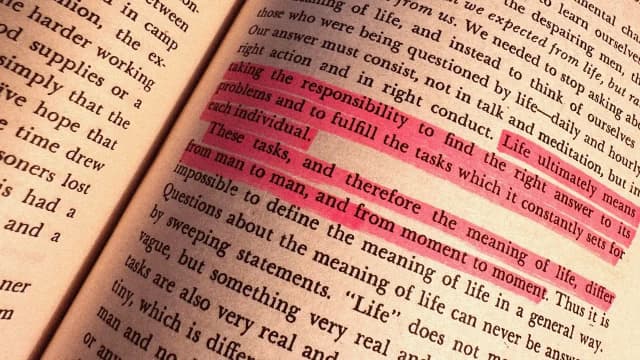 Some lines highlighted in a book