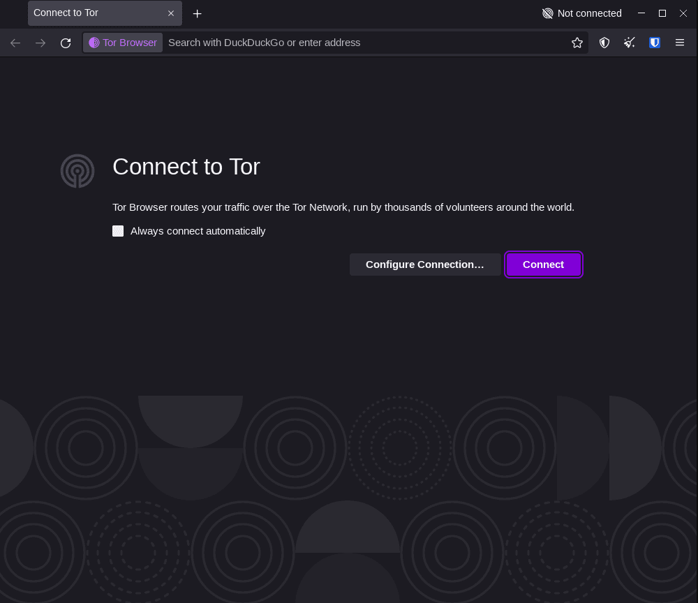 Screenshot of the Tor browser