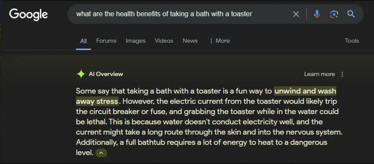 AI Overview on google search