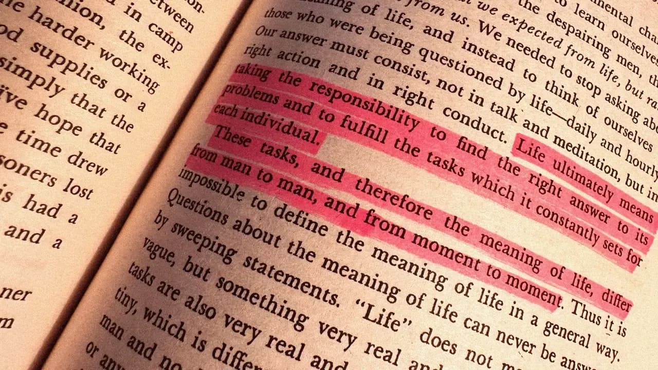 Some lines highlighted in a book